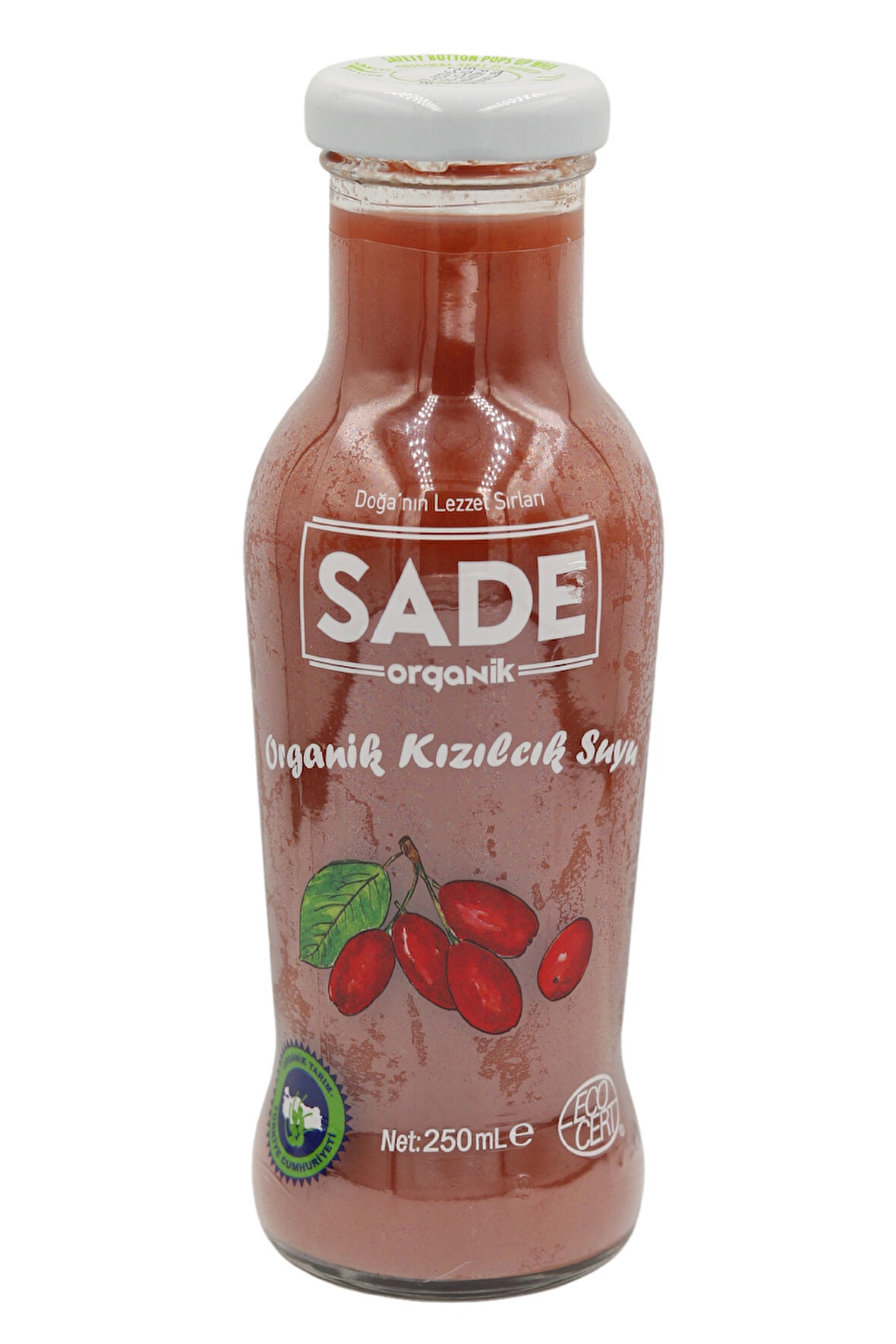 Kızılcık Suyu 250 Ml