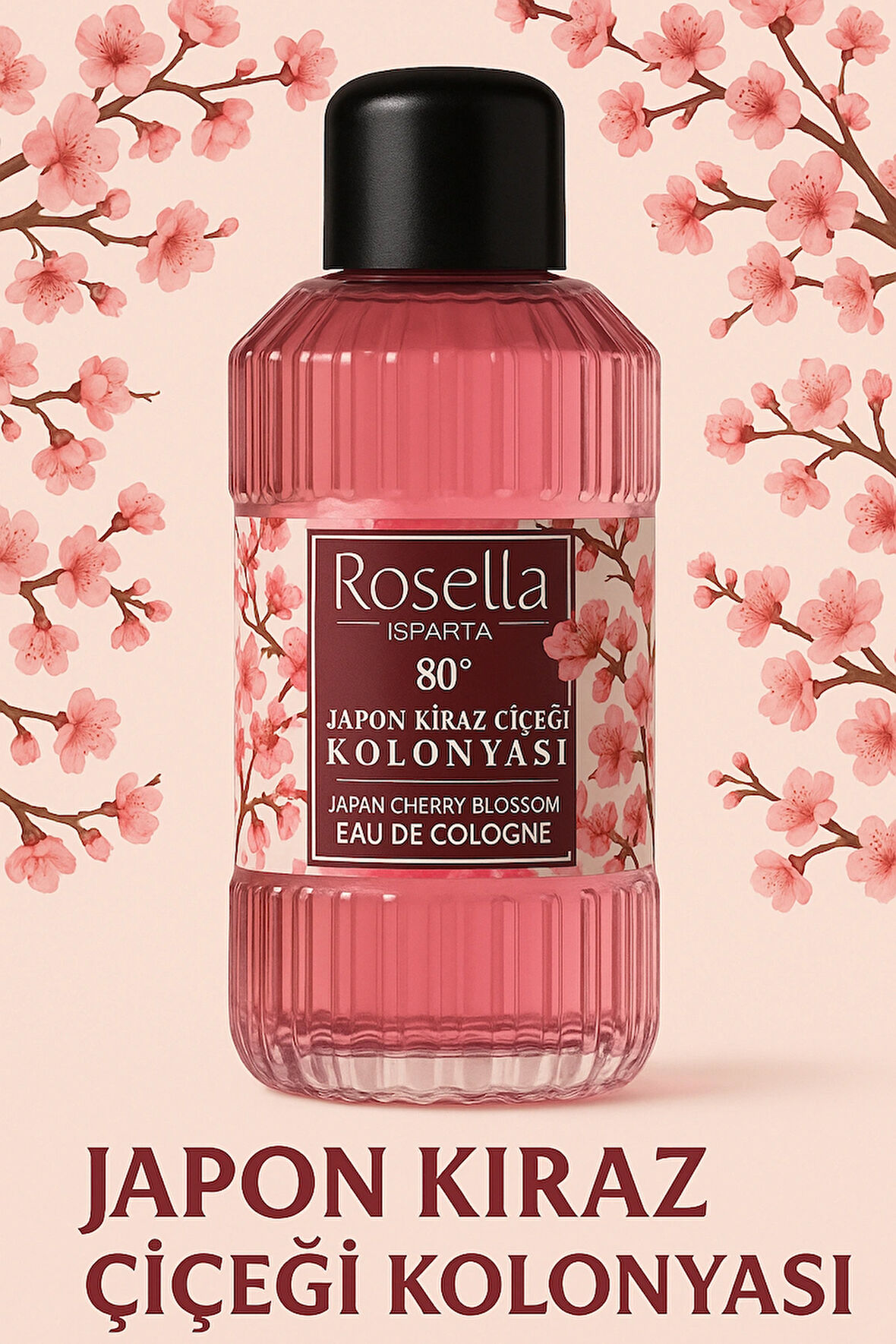 JAPON KİRAZ ÇİÇEĞİ KOLONYASI 80C KREMLİ
