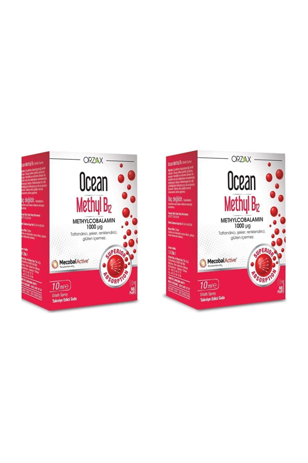 Ocean Methyl B12 Sprey 1000 mg 10 ml 2 Adet