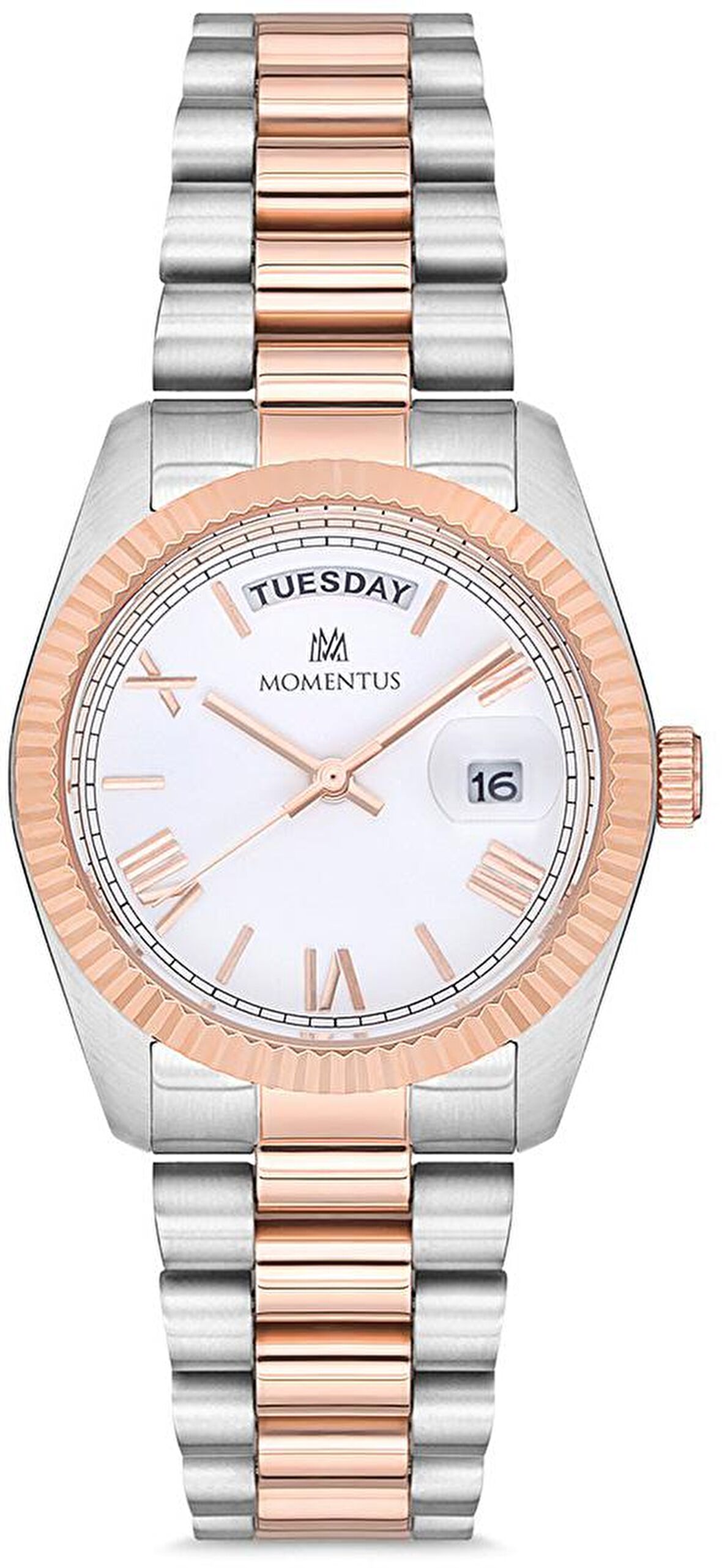 Momentus Cw134t-01sr Bayan Kol Saati