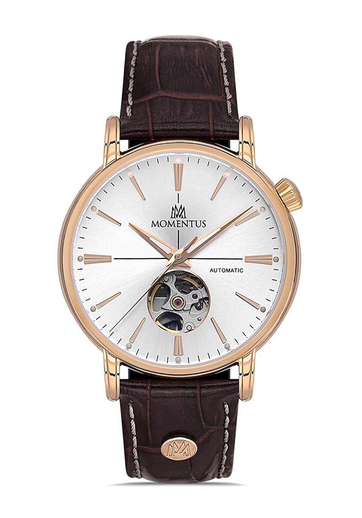 Momentus Men's Time Masters TM349R-02BR Erkek Kol Saati
