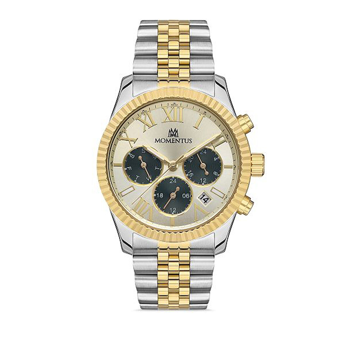 Momentus Classy Collection CW128T-08SG Kadın Kol Saati