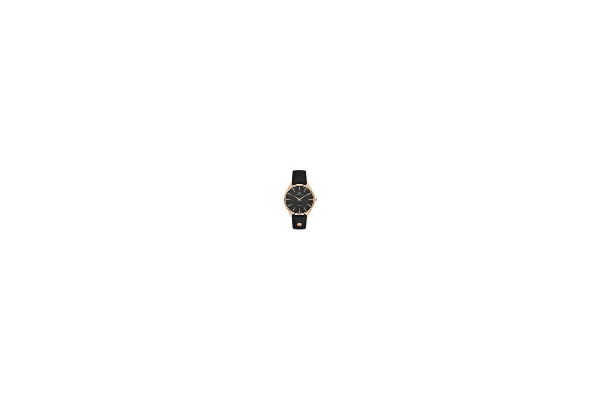 EM349R-04BR MOMENTUS MEN'S ELEGANCE KOL SAATİ