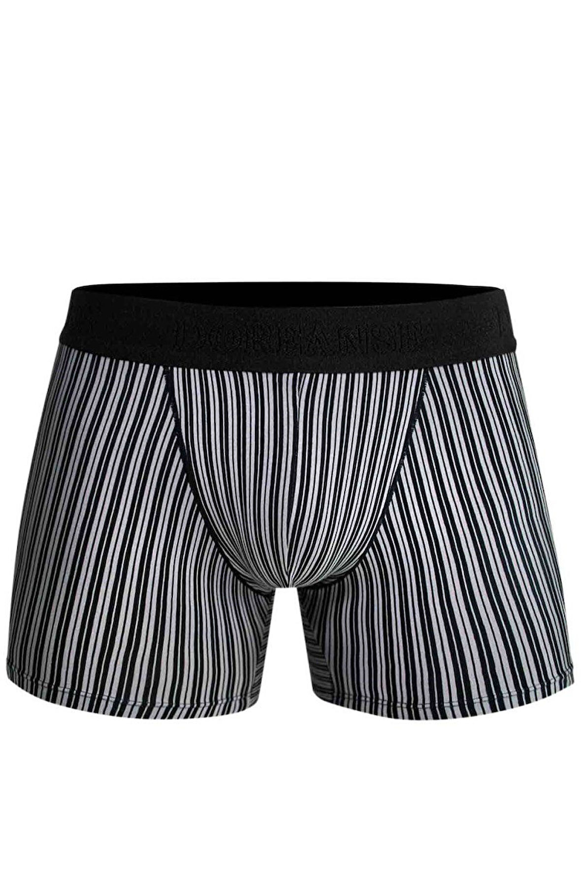 Doreanse Erkek Modal Çizgi Desenli Normal Paça Boxer 1866