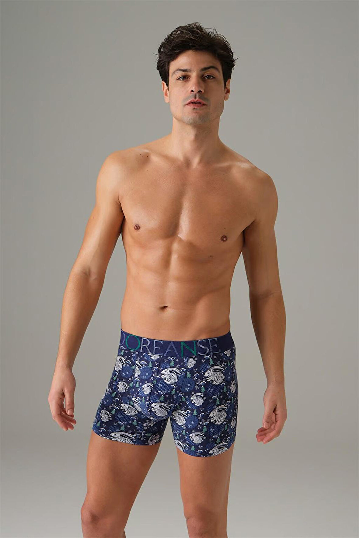 Doreanse 1732 Rabbit Island Desenli Modal Erkek Boxer