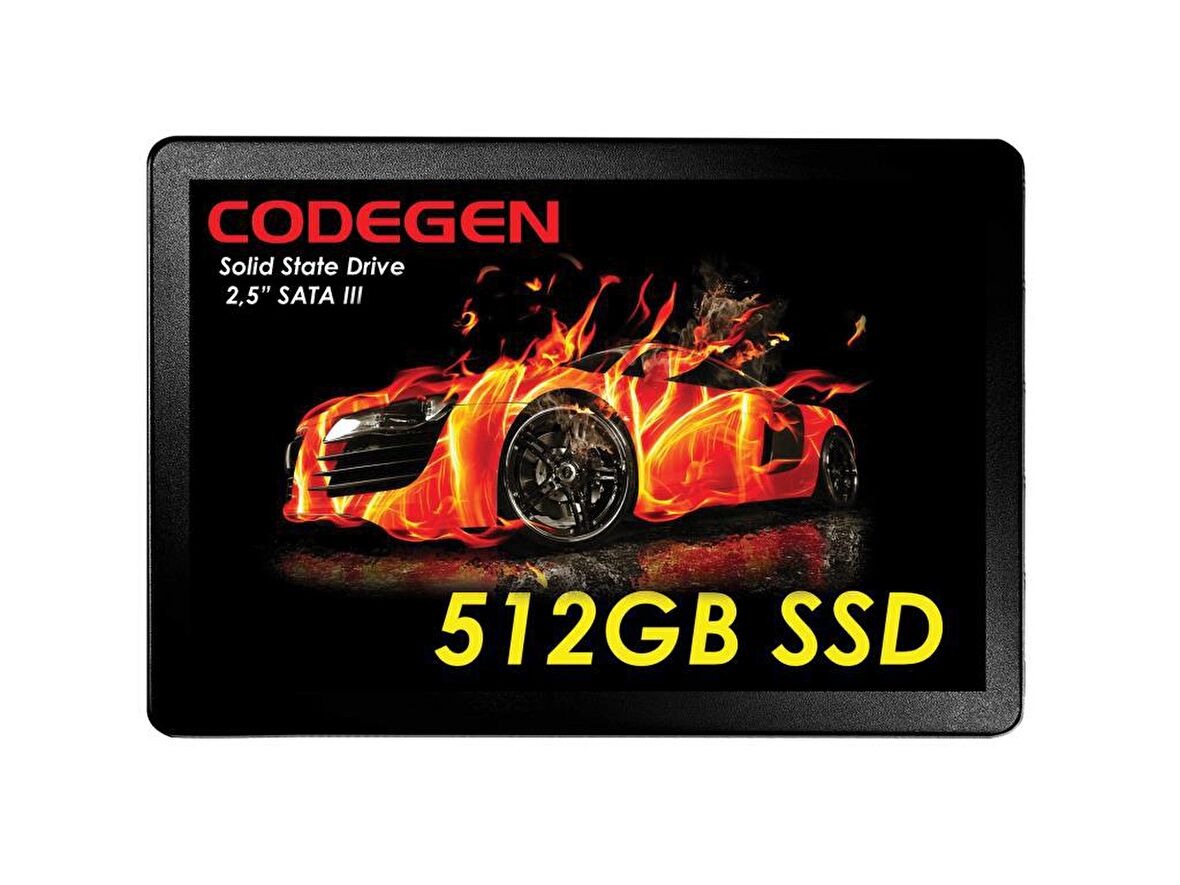 Codegen 2.5 İnç 512 GB Sata 3.0 450 MB/s 500 MB/s SSD 