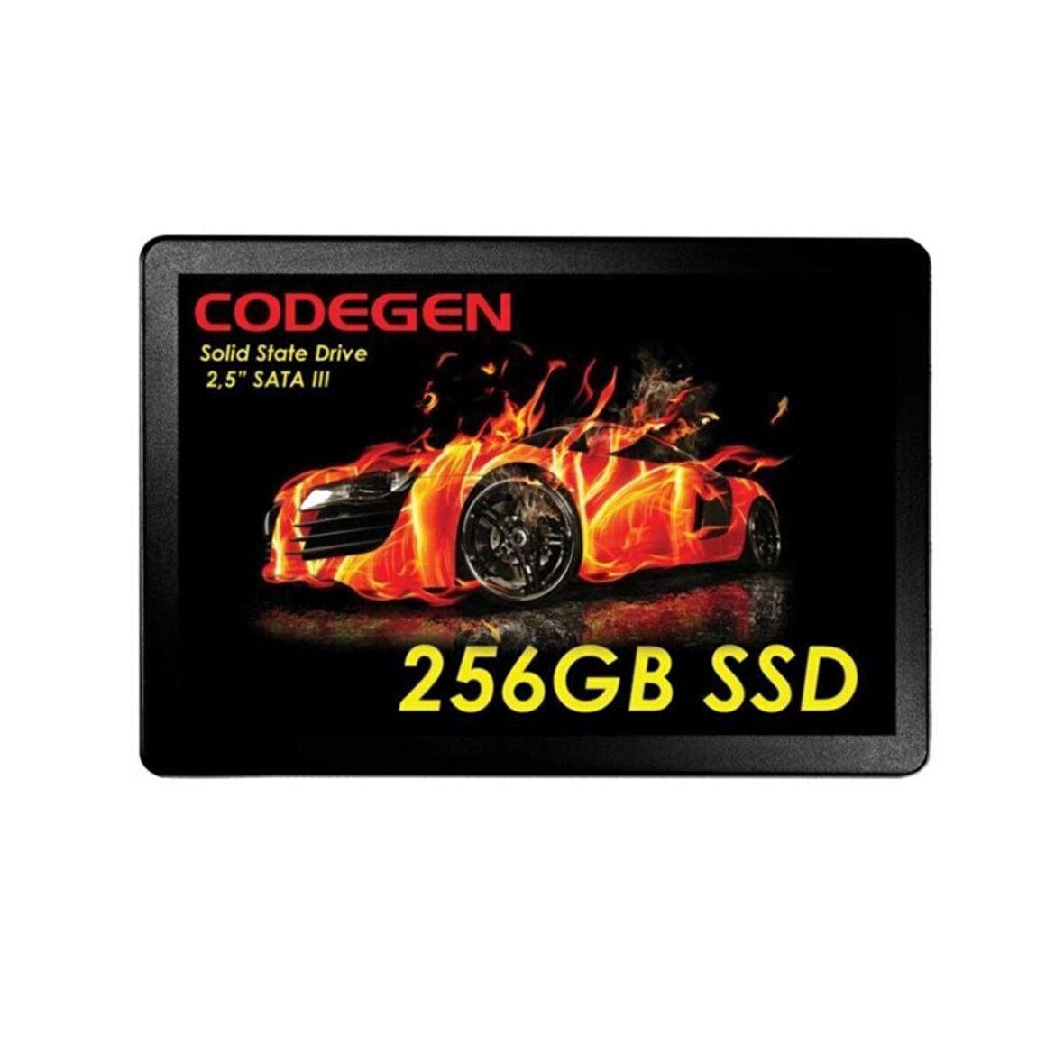 CODEGEN 256GB CDG-256GB-SSD25 500- 450MB/s SSD SATA-3 Disk