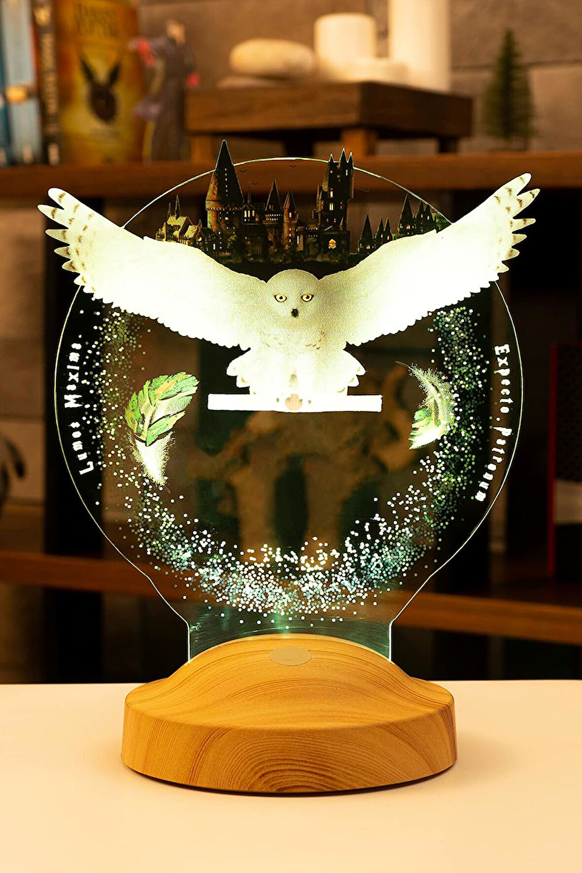 Potter Hediyesi Hogwarts Hedwig 3D Led Lamba, Hediye Baykuş Gece Lambası