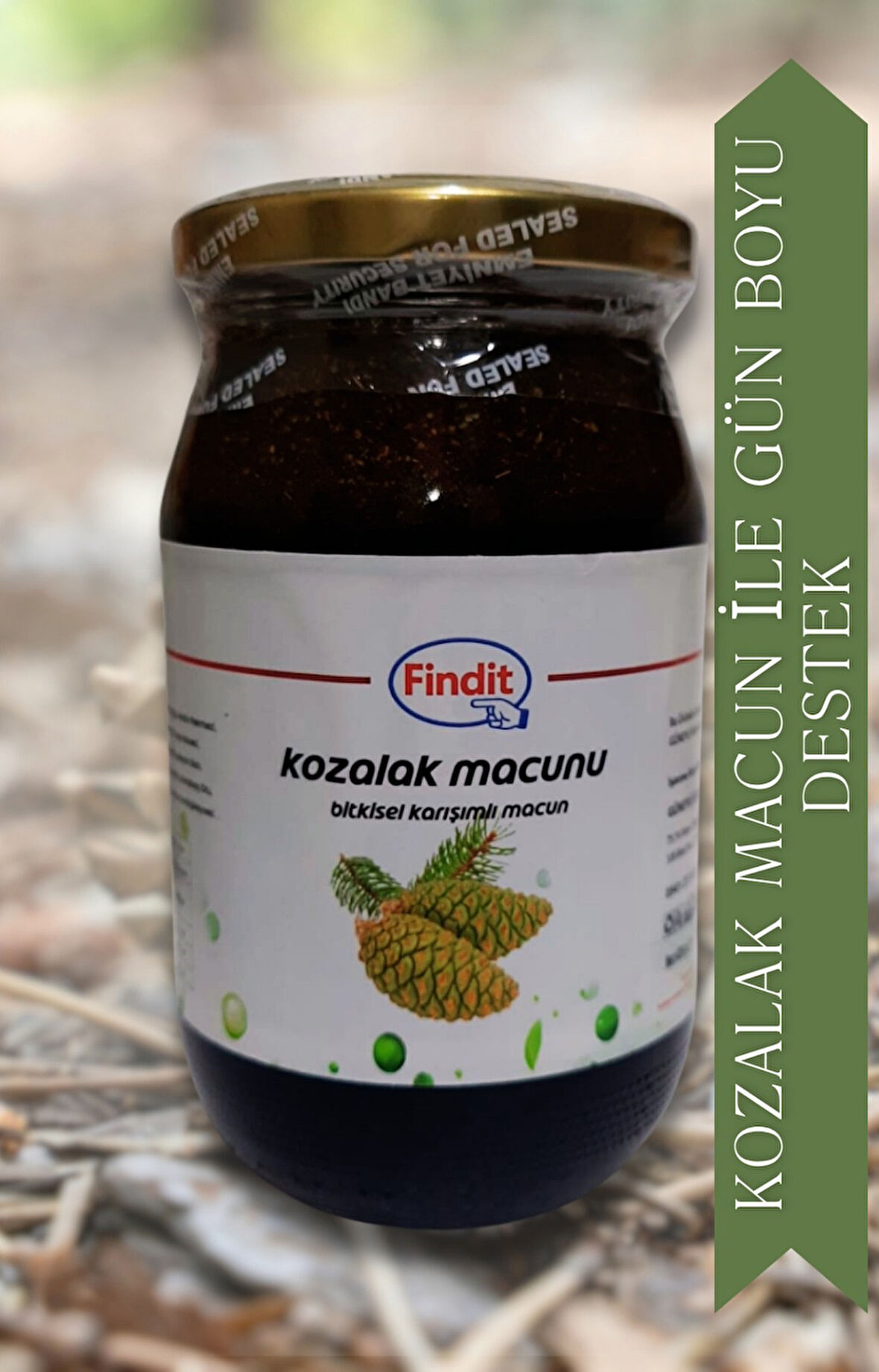 Kozalak Bitkisel Karışımlı Macun Doğal Güç ve Direnç Desteği