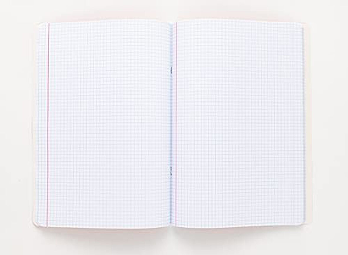 Defter, Pembe Yaprak Kareli A4 60 Colors Yeni