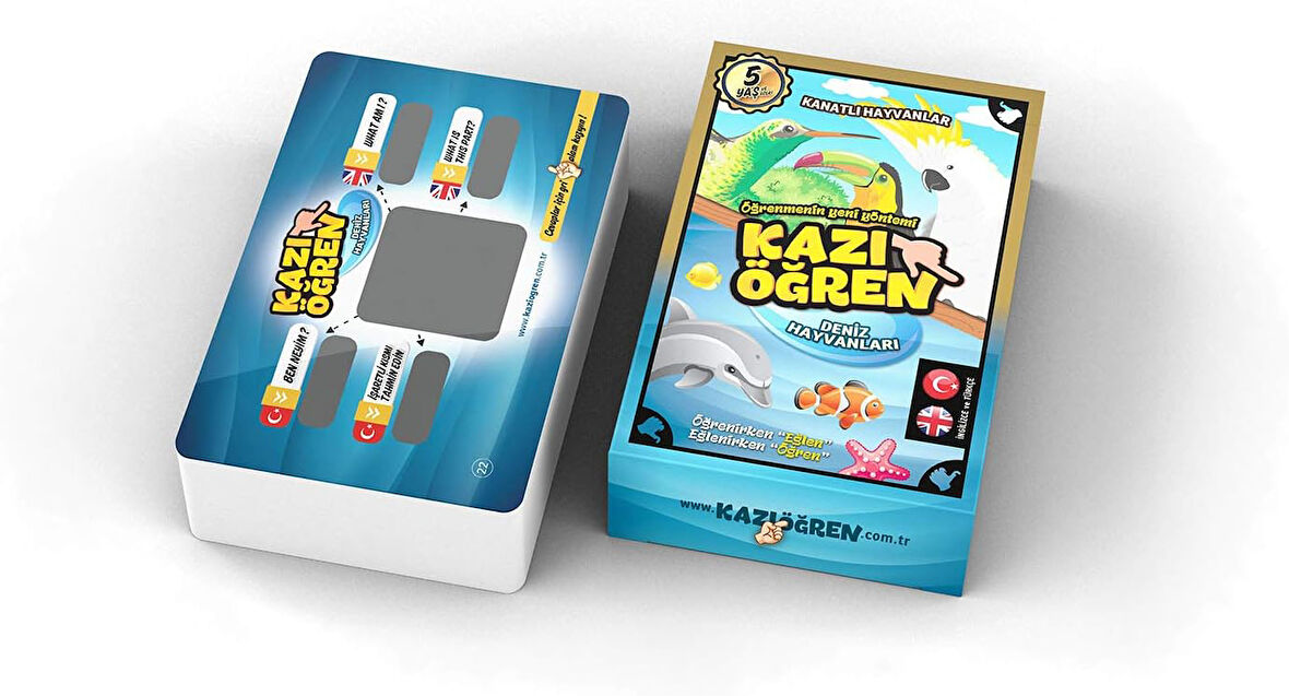 Öğren Deniz Hayvanları Ve Kanatlı Hayvanlar İngilizce Türkçe Eğitim Kartları Egzersizleri