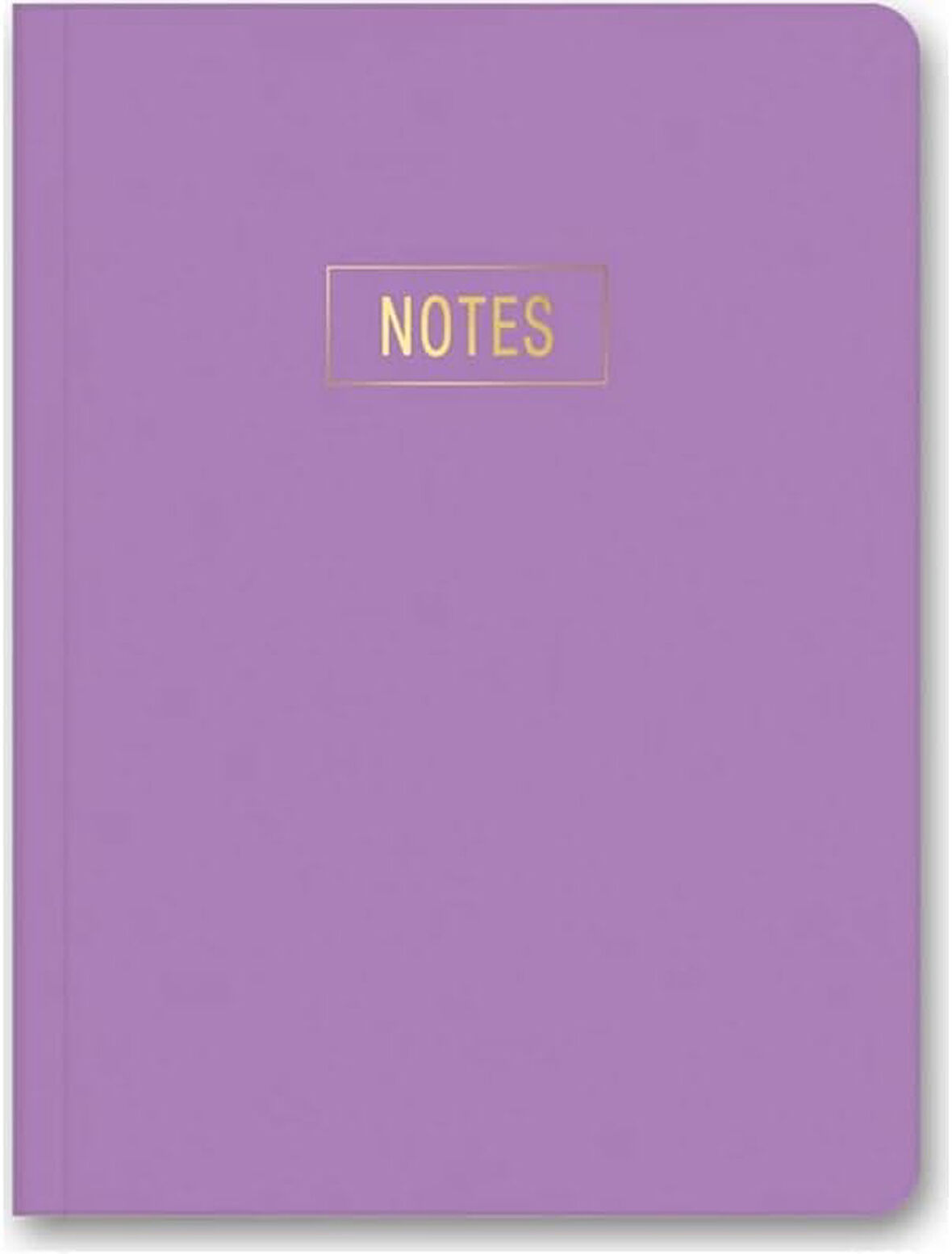 Color Notes Mini Defter Çizgili Mor 14x20 cm