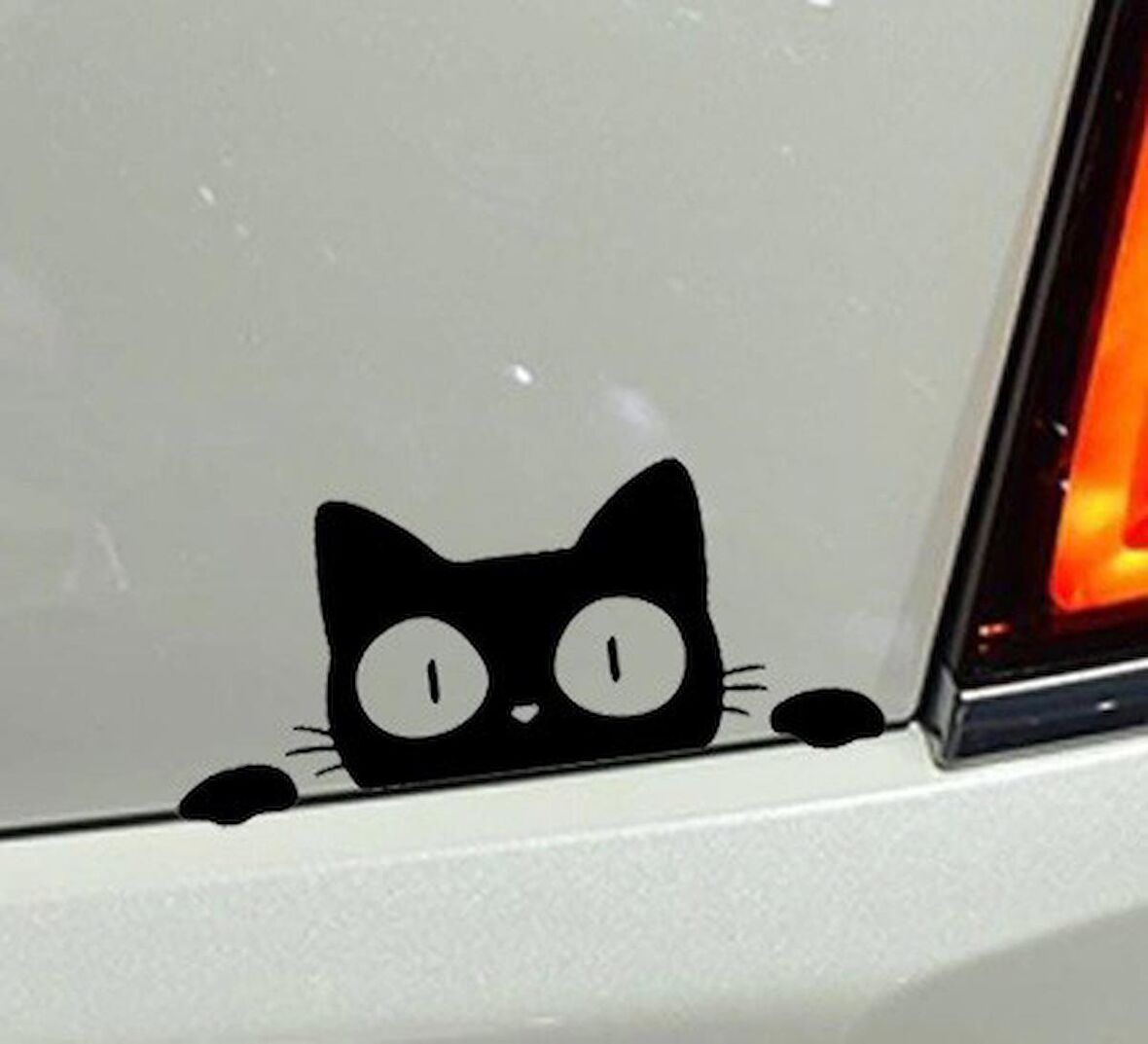 Kedi Oto Araba Sticker Yapıştırma