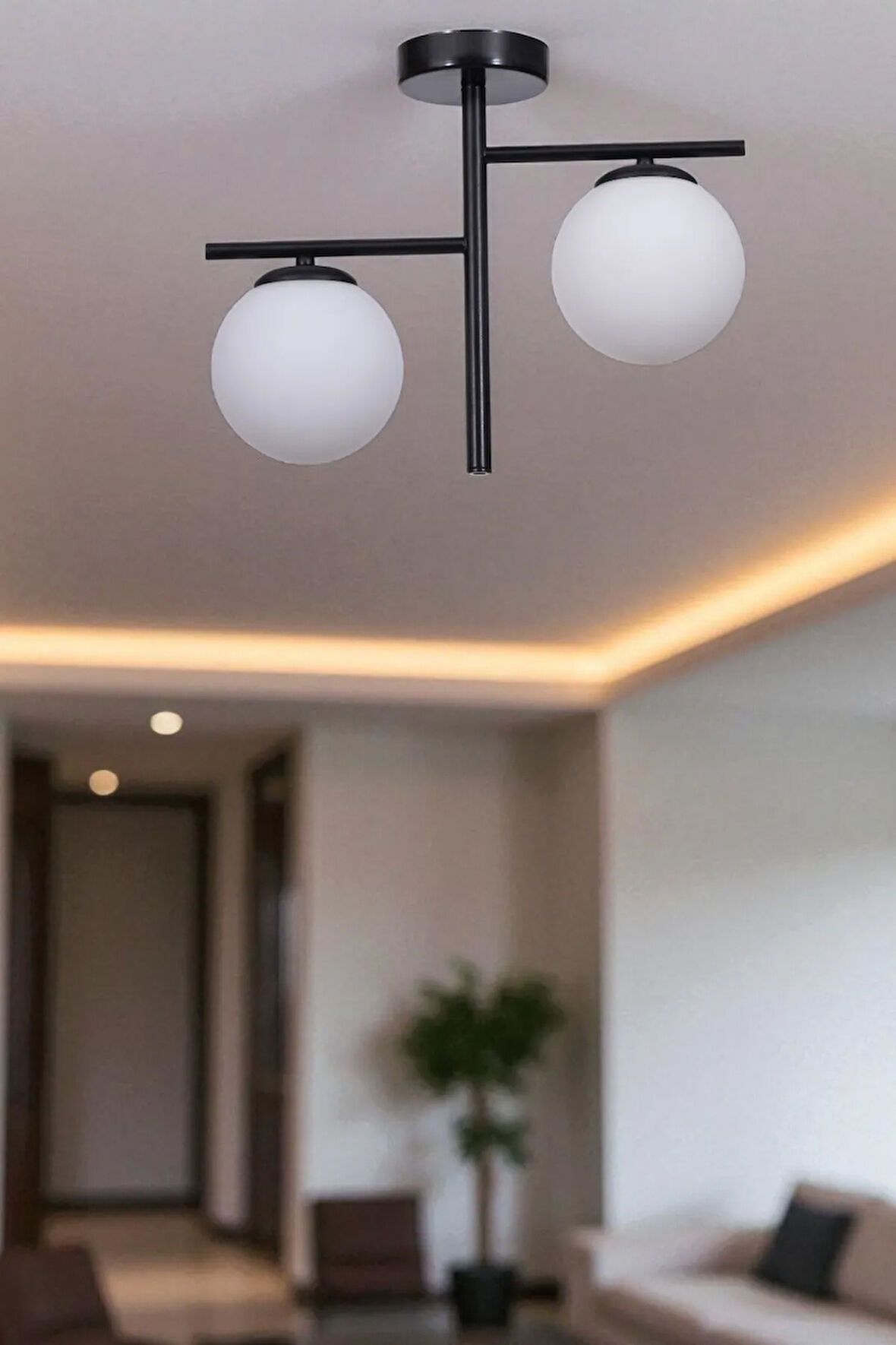 TERRA 2 Lİ SİYAH BEYAZ CAMLI PLAFONYER AVİZE