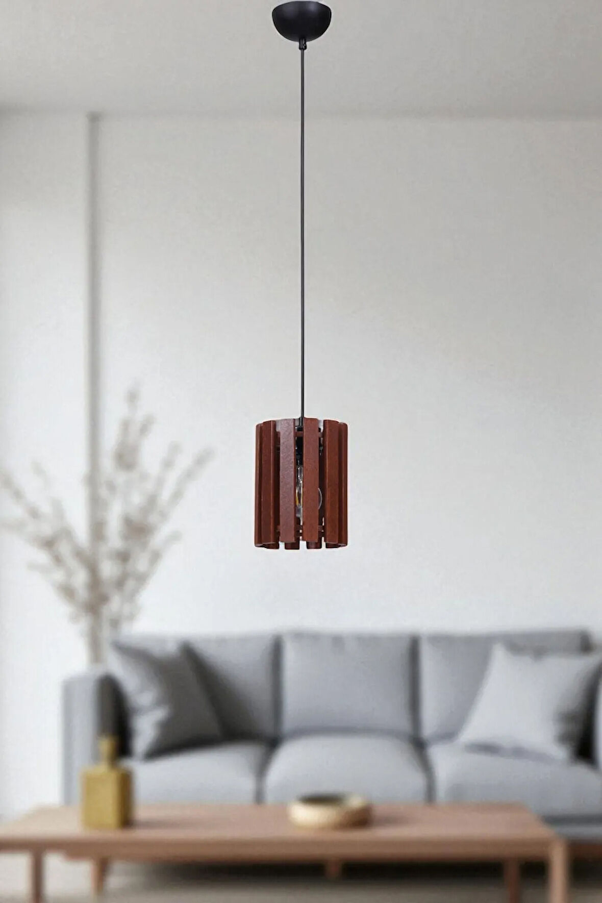 KASNAK TEKLİ CEVİZ SARKIT