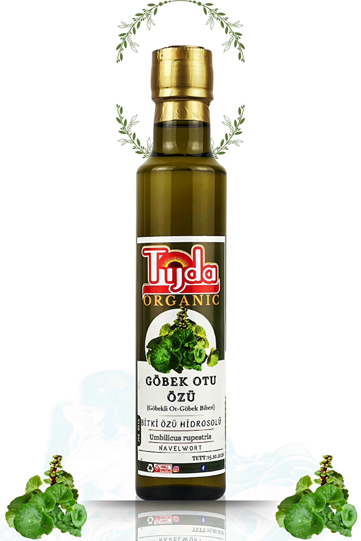 Göbek Otu Özü 250 ml Umbilicus rupestris