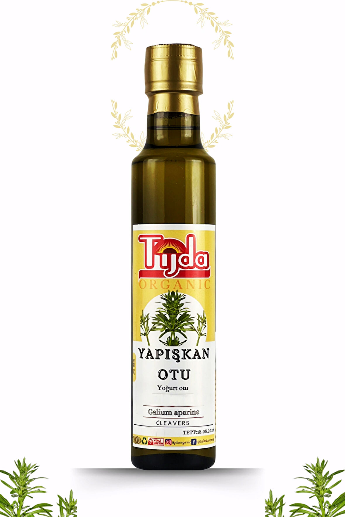 Yapışkan Otu Özü 250 ml Yoğurt Otu Galium aparine