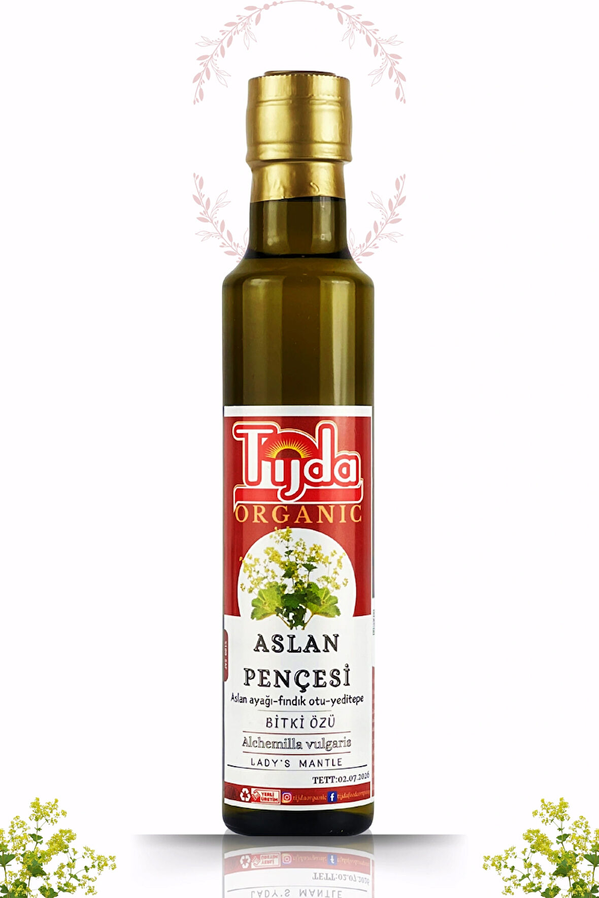 Aslan Pençesi Özü 250 ml Alchemilla vulgaris