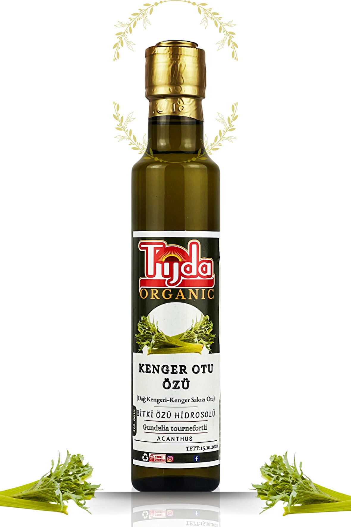 Kenger Otu Özü 250 ml Gundelia tournefortii