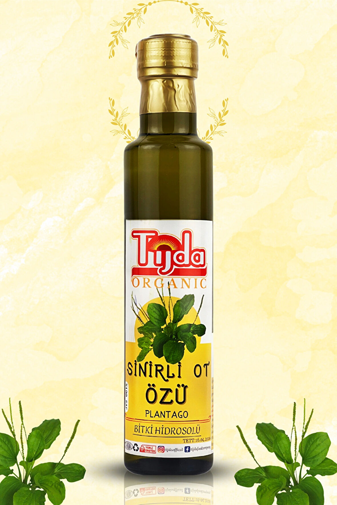 SİNİRLİ OT ÖZÜ (SİNİR OTU) (PLANTAGO) 250 ML %100 SAF