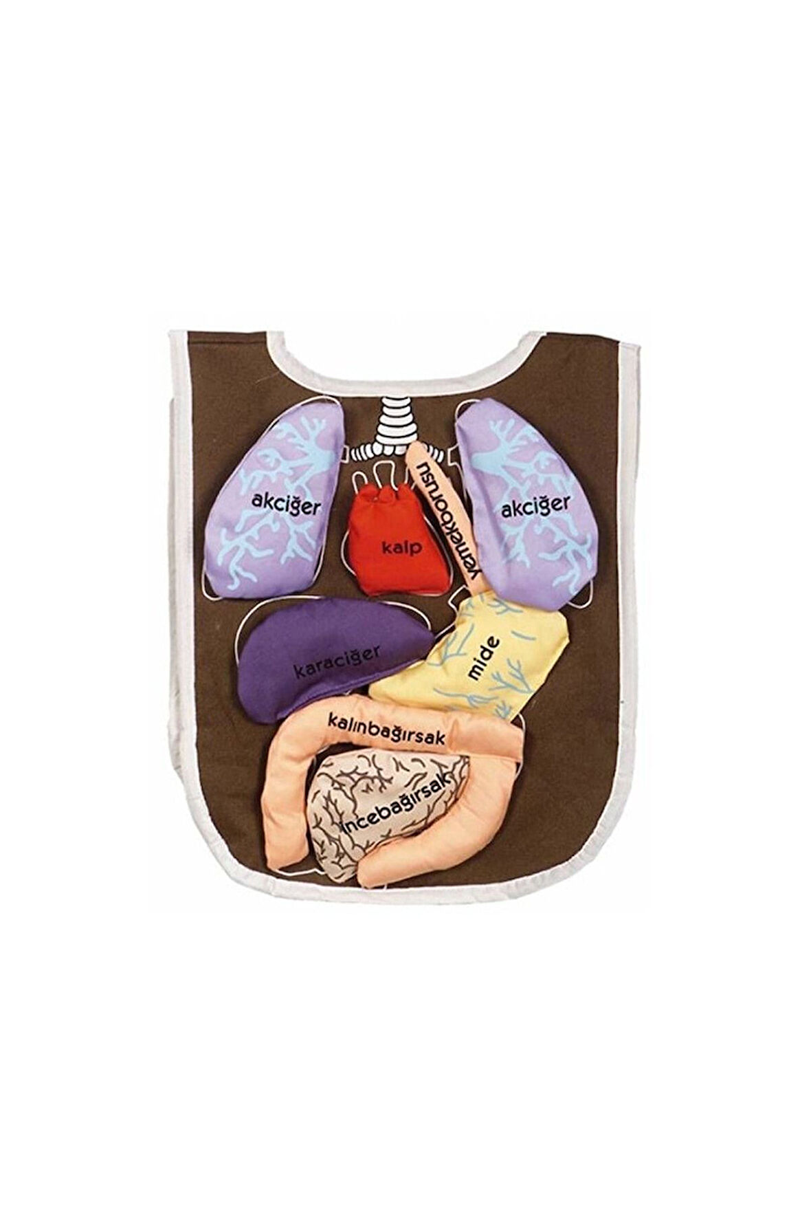 Isimli Organ Önlüğü