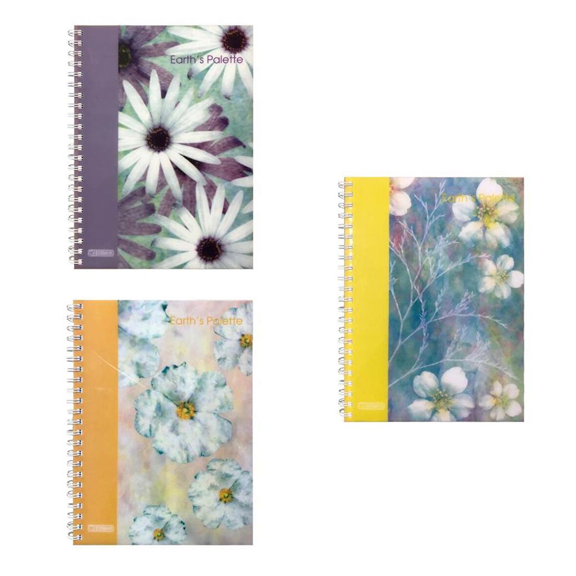 Özgün Earth's Palette A4 Pp Kapak Spiralli Defter 160 Yp. Kareli - 3 Adet