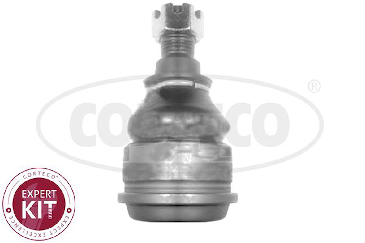 Honda Rotıl Alt Honda CIVIC VI 2001-2005 - Corteco 49399503