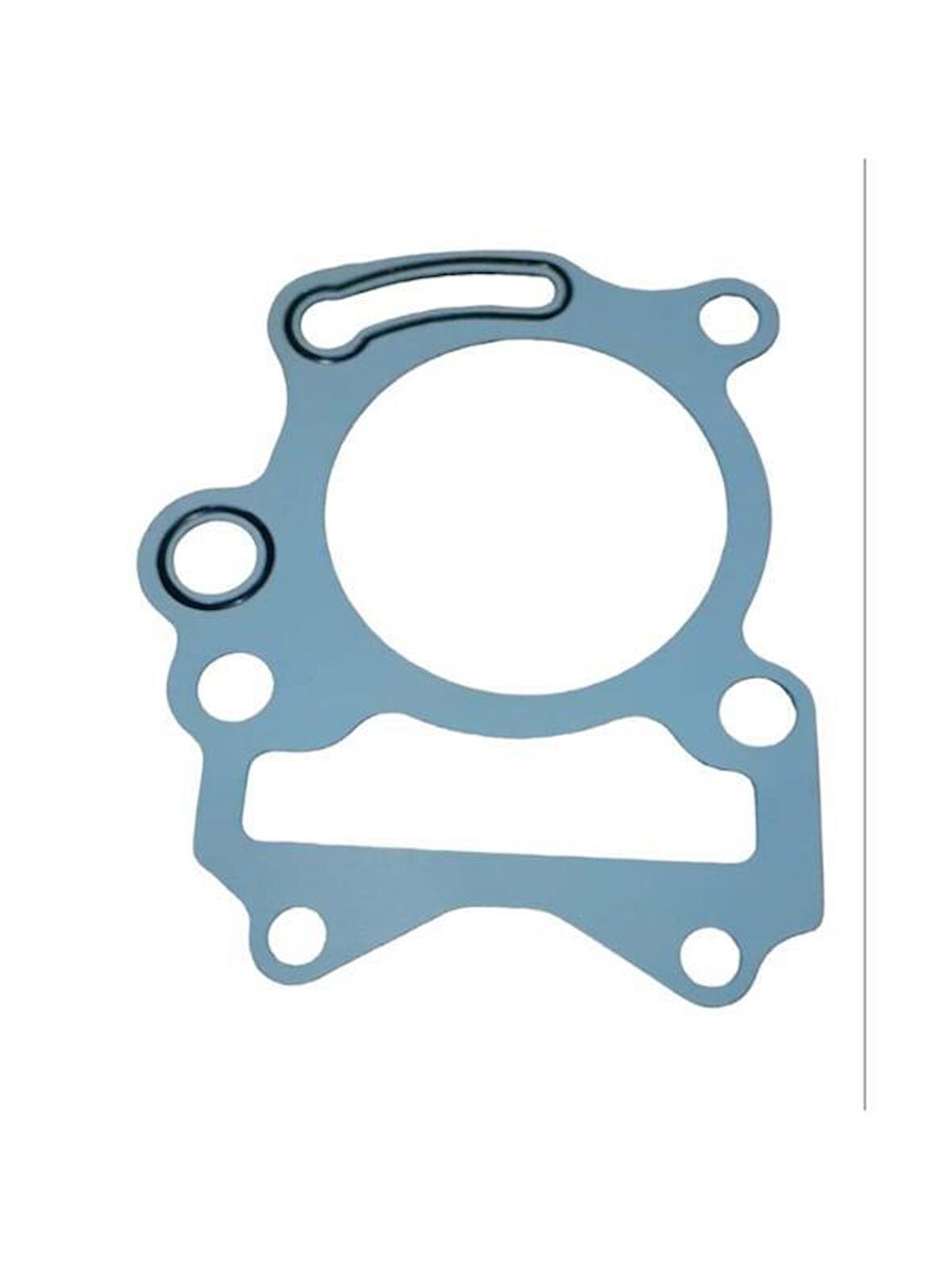 Tvs Jupıter Silindir Alt Conta Orj