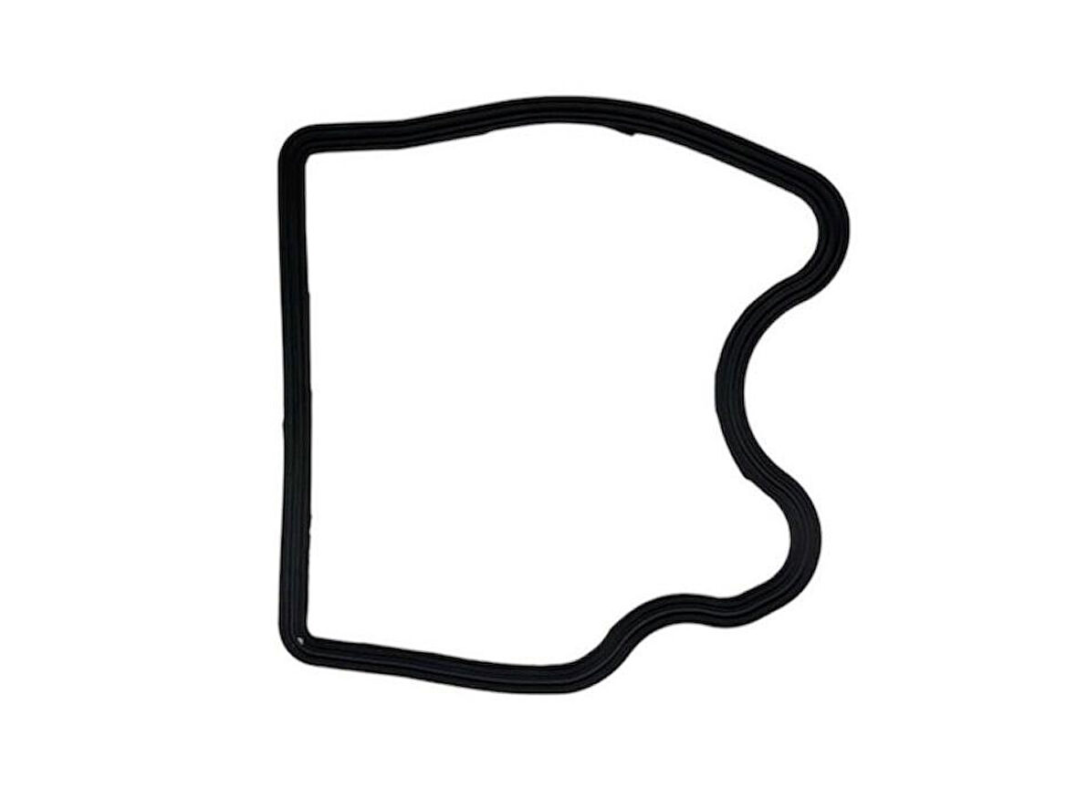 Tvs Raider 125 Külbütör Kapak O-Ringi K2010190 Orj