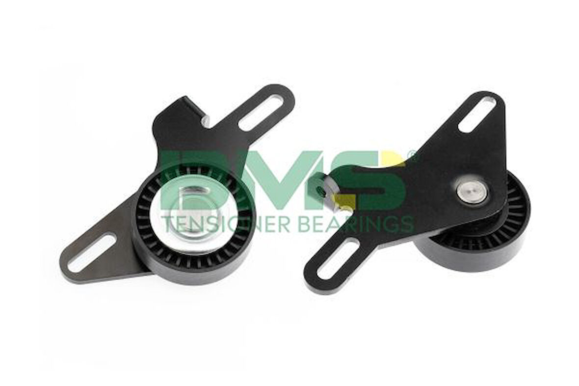 Renault Alternator Gergi Rulmanı Clio Kangoo Megane 1.4 - Bms 031