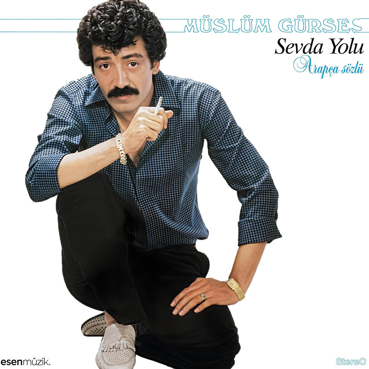 Müslüm Gürses Sevda Yolu - Plak