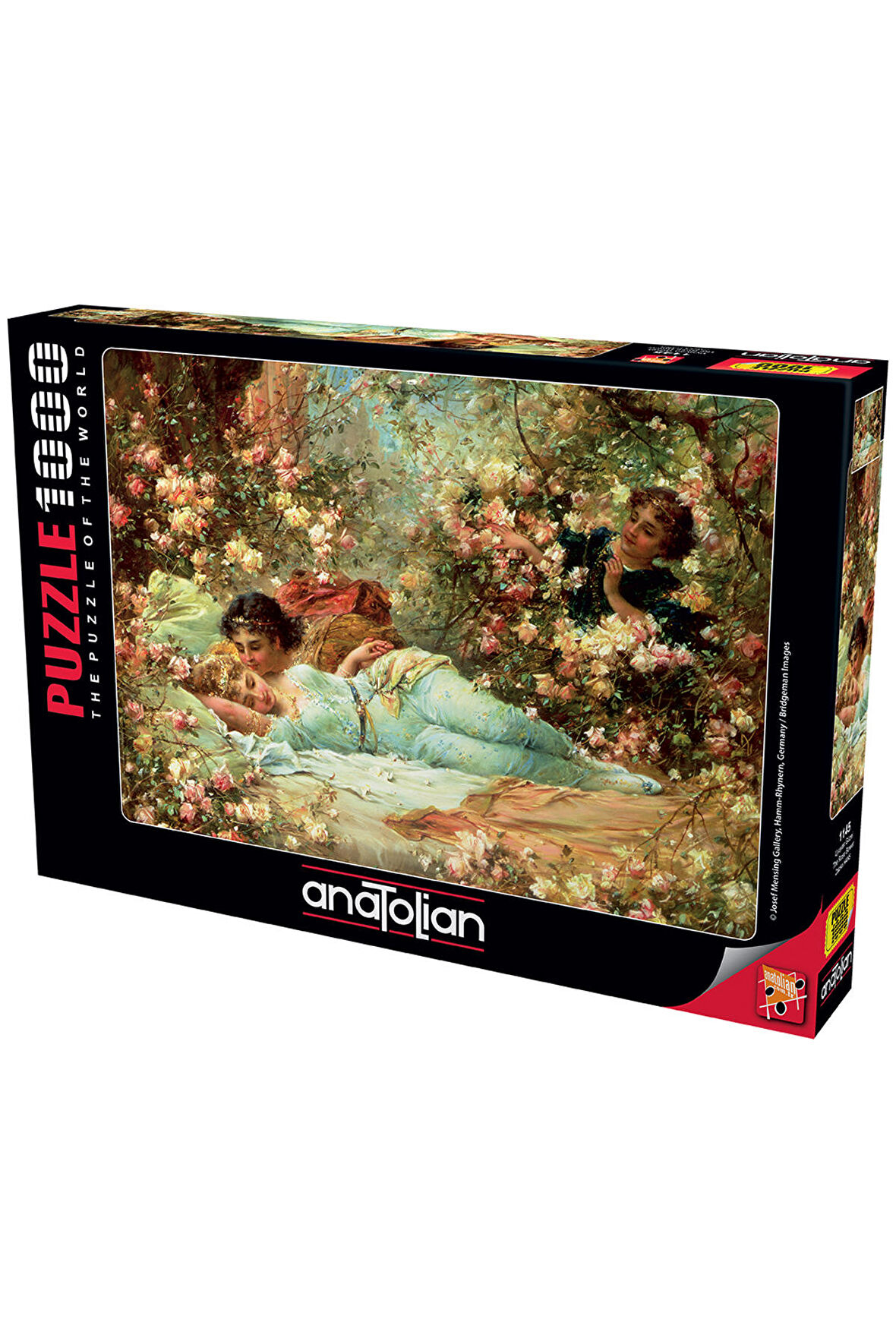 Uyuyan Güzel 1145 14+ Yaş Küçük Boy Puzzle 1000 Parça