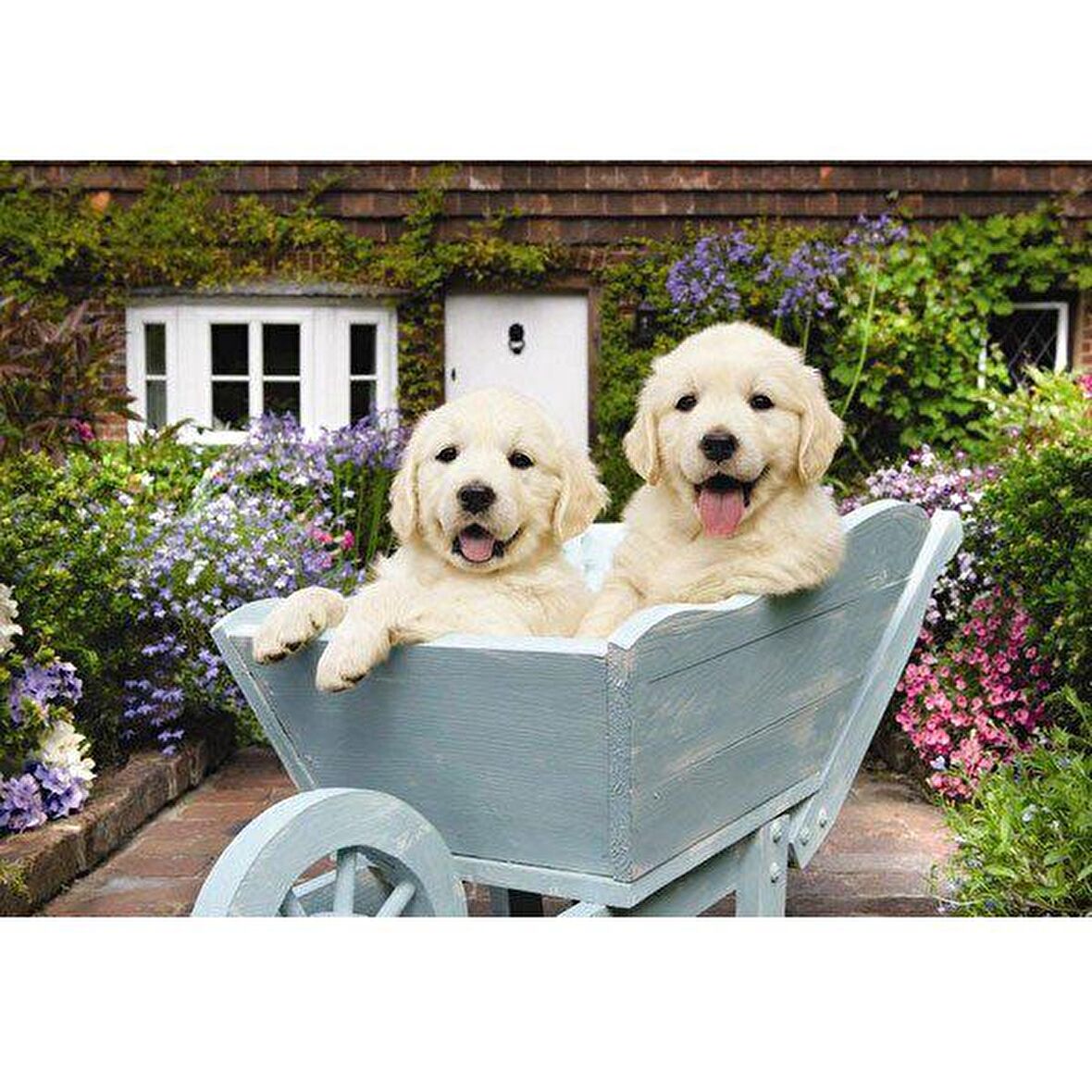 Anatolian 260 Parça XL Puzzle - Bahçıvan Köpekler 3310