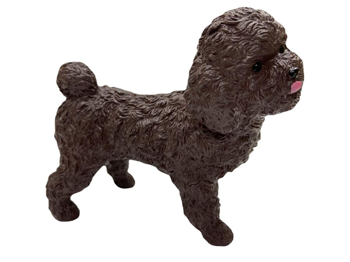 Soft Köpekler - Poodle Cinsi Köpek - E013