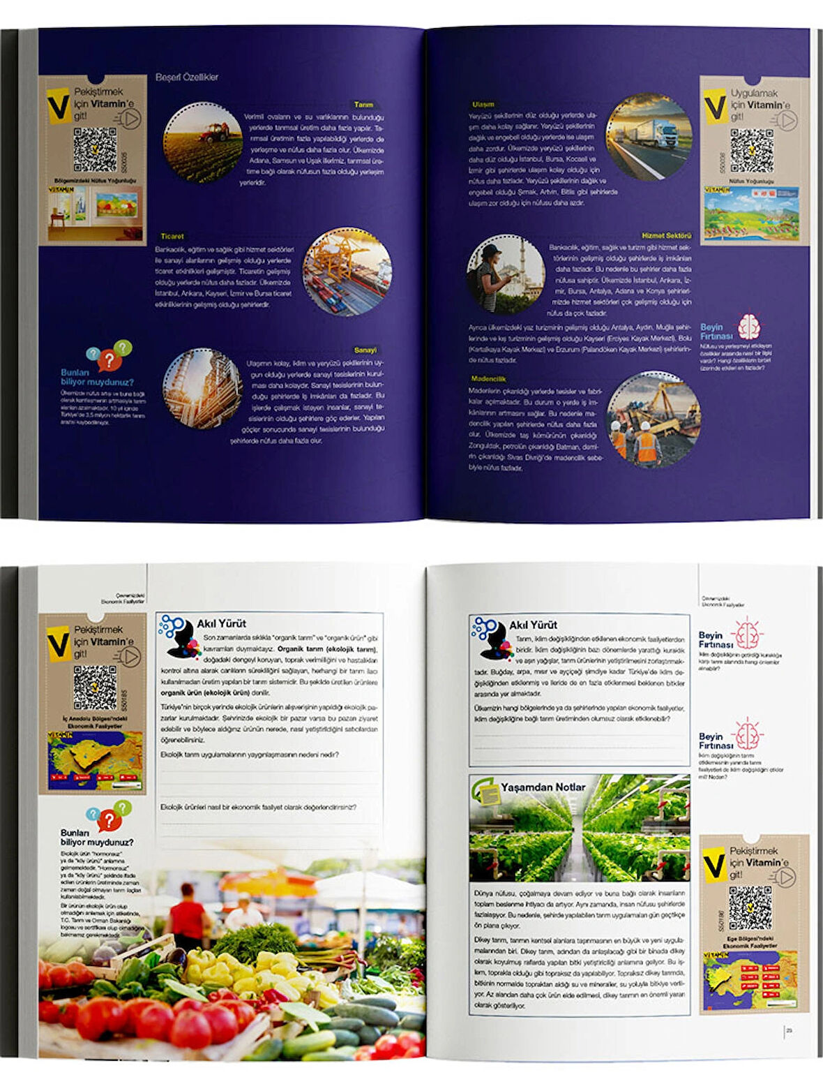 Kitapları 5. Sınıf  Rehberlik Destekli Plus Paket: 8 Kitap + Dijital