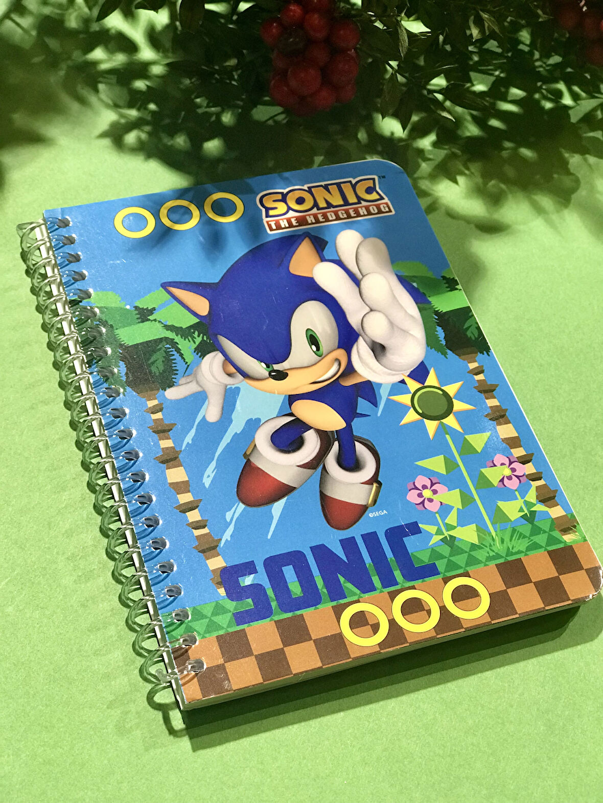 Sonic Lisanslı Mavi 72 sayfa A6 Çizgili Not Defteri 15x11cm