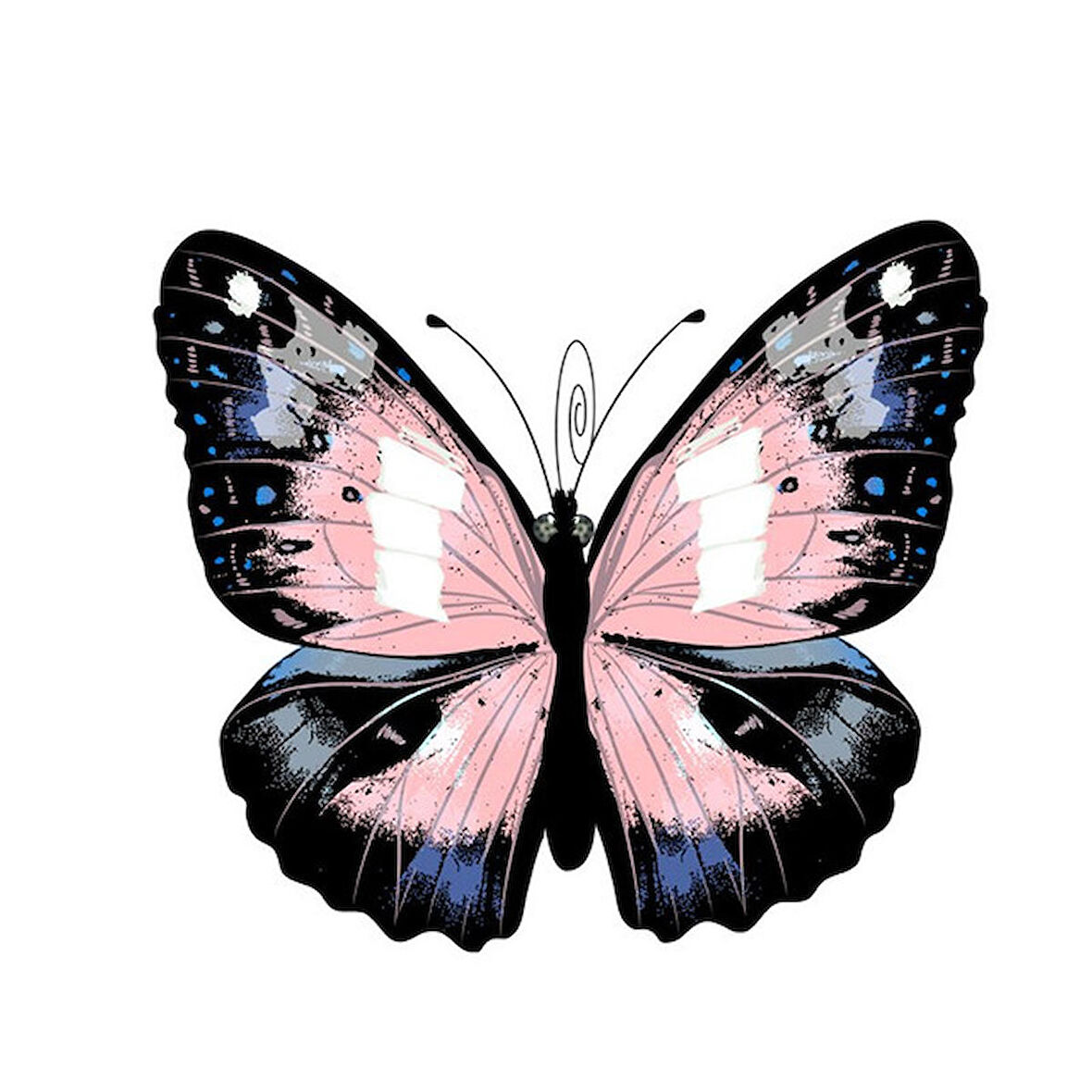 Güzel Kelebek renkli araba Sticker Etiket 17 Cm
