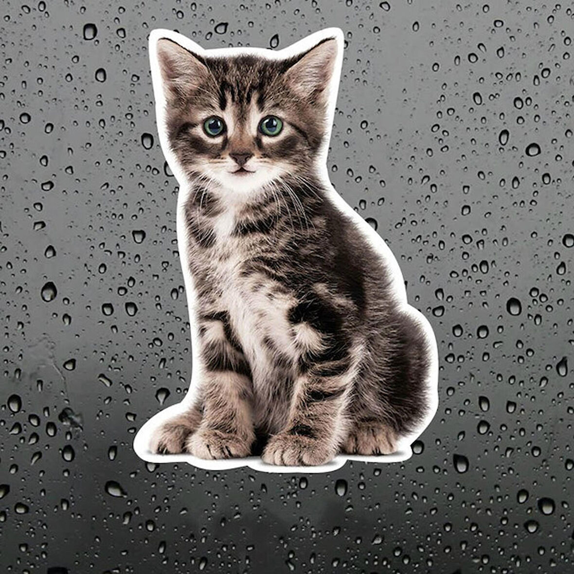 Sevimli yaramaz kedi araba Sticker Etiket 18CM m4