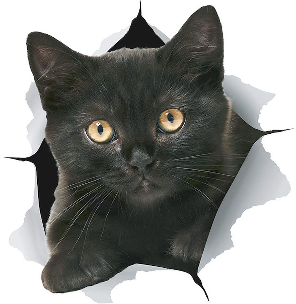 Siyah Labrador köpek araba Sticker 18CM