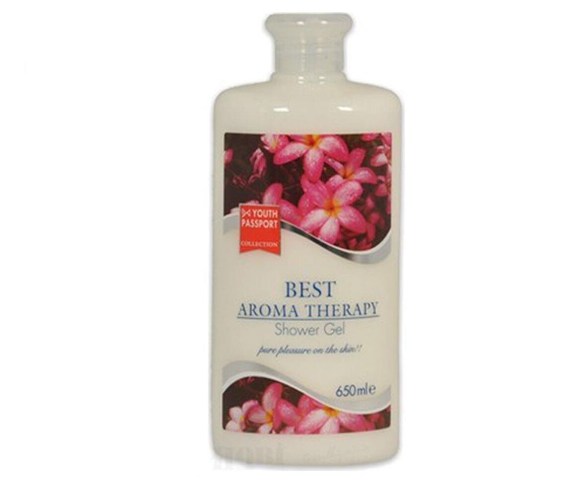 Youth Passport Secret Duş Jeli 650 ml