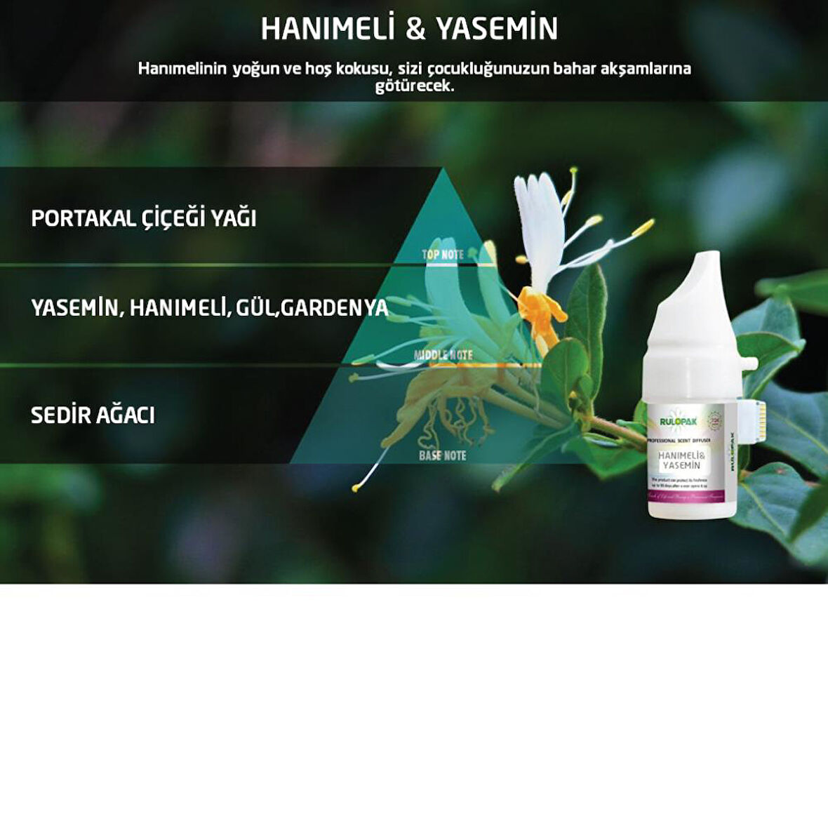 Rulopak Hanımeli Yasemin Koku Kartuşu 100 ml (M5-M6)
