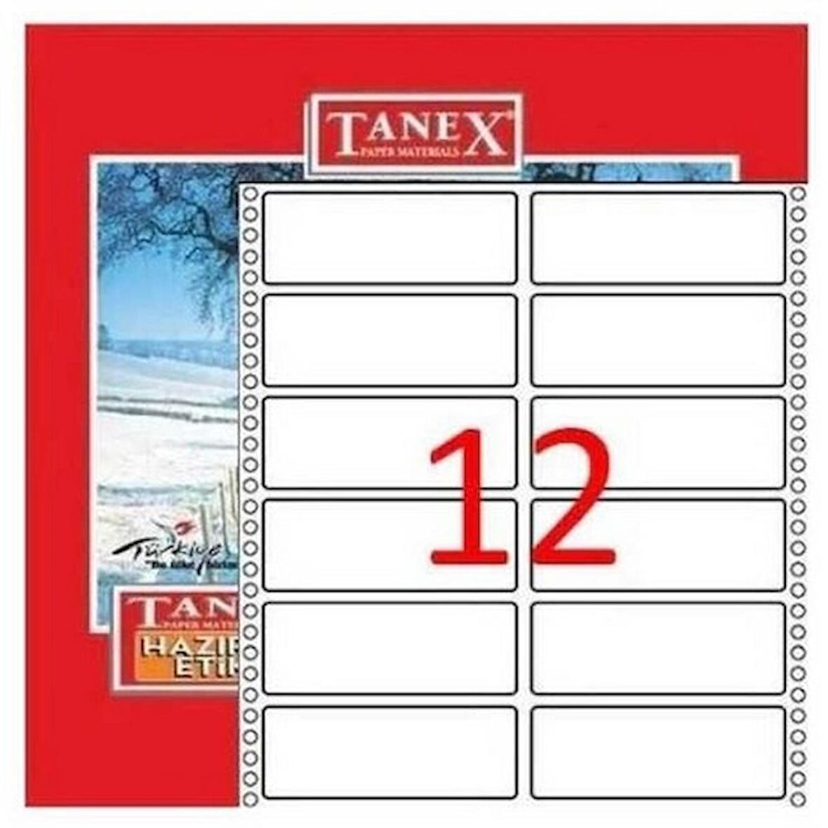 TANEX BİLGİSAYAR ETİKETİ (48x100)