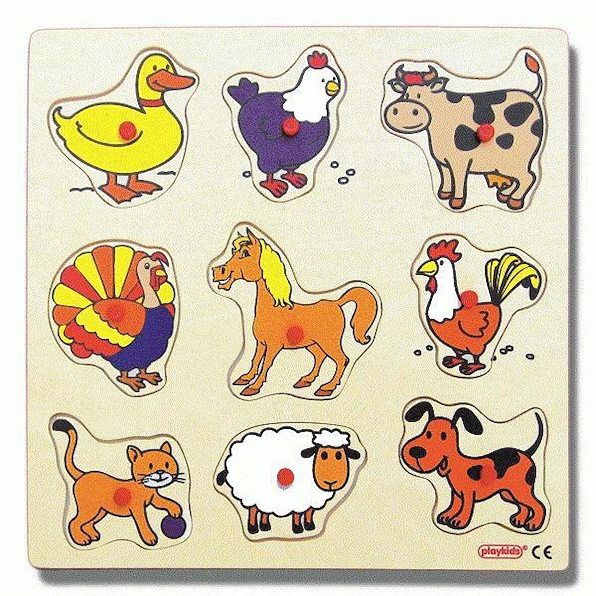 Edutoys Yaşam Çocuk Puzzle