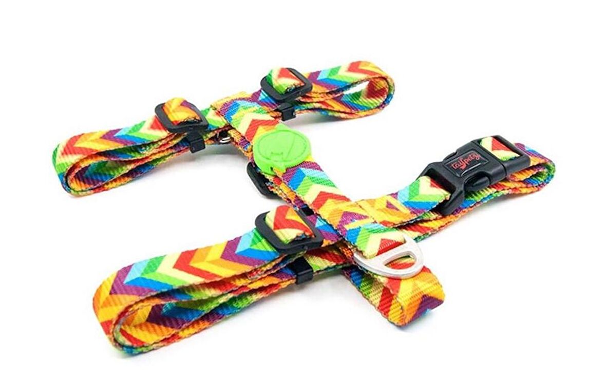 TailPetz H-Tip Rainbow S Küçük Irk Köpek Göğüs Tasması (Göğüs 32 cm x 51 Cm)