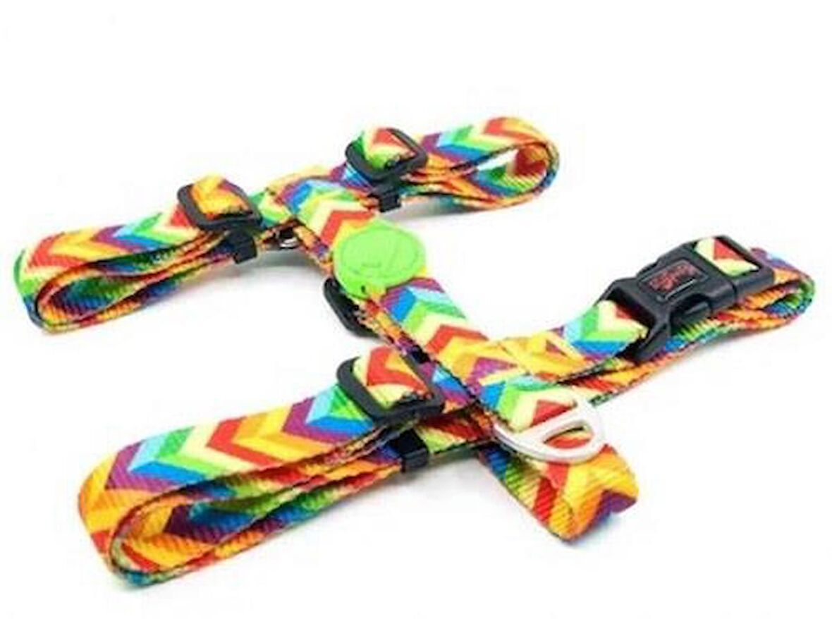 TAILPETZ RAINBOW H-HARNESS L GÖĞÜS TASMASI