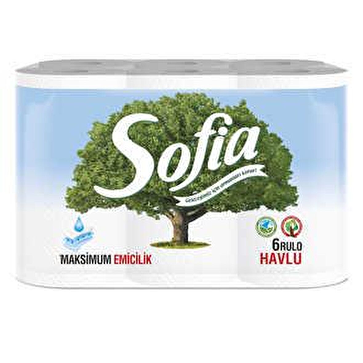 SOFİA HAVLU 6LI MUTFAK