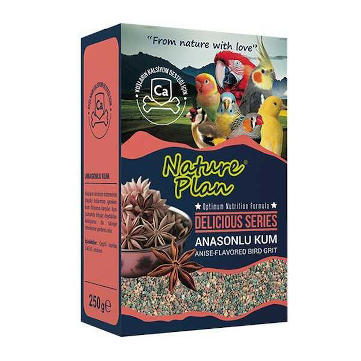 Nature Plan Delicious Serisi Anasonlu Kum 250gr