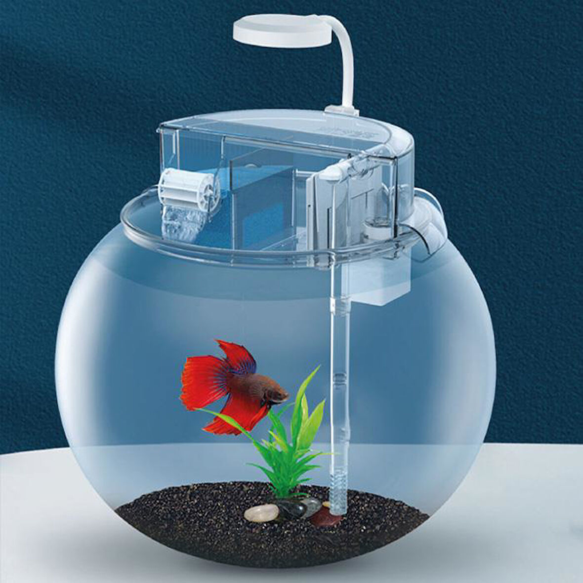 Jeneca YG-25 Fanus Akvaryum Seti 24x24x24 Cm (5,8L)