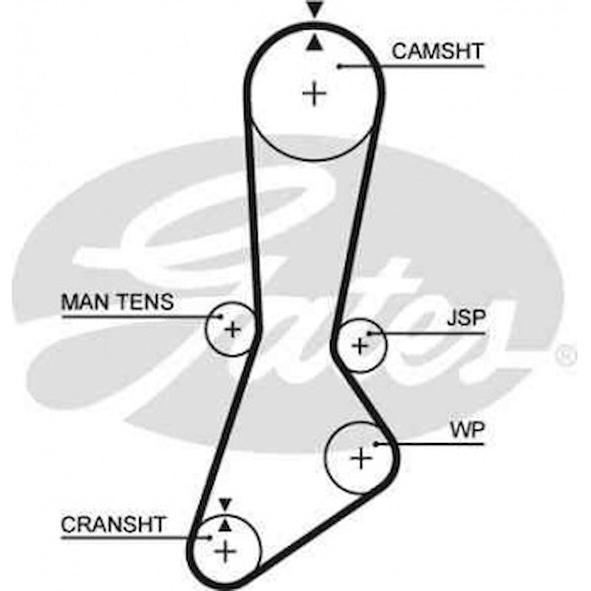 Mazda Triger Kayısı (104x254) Mazda 626 1.8 8v 12v (87 92) Ct785 - Gates 5301xs