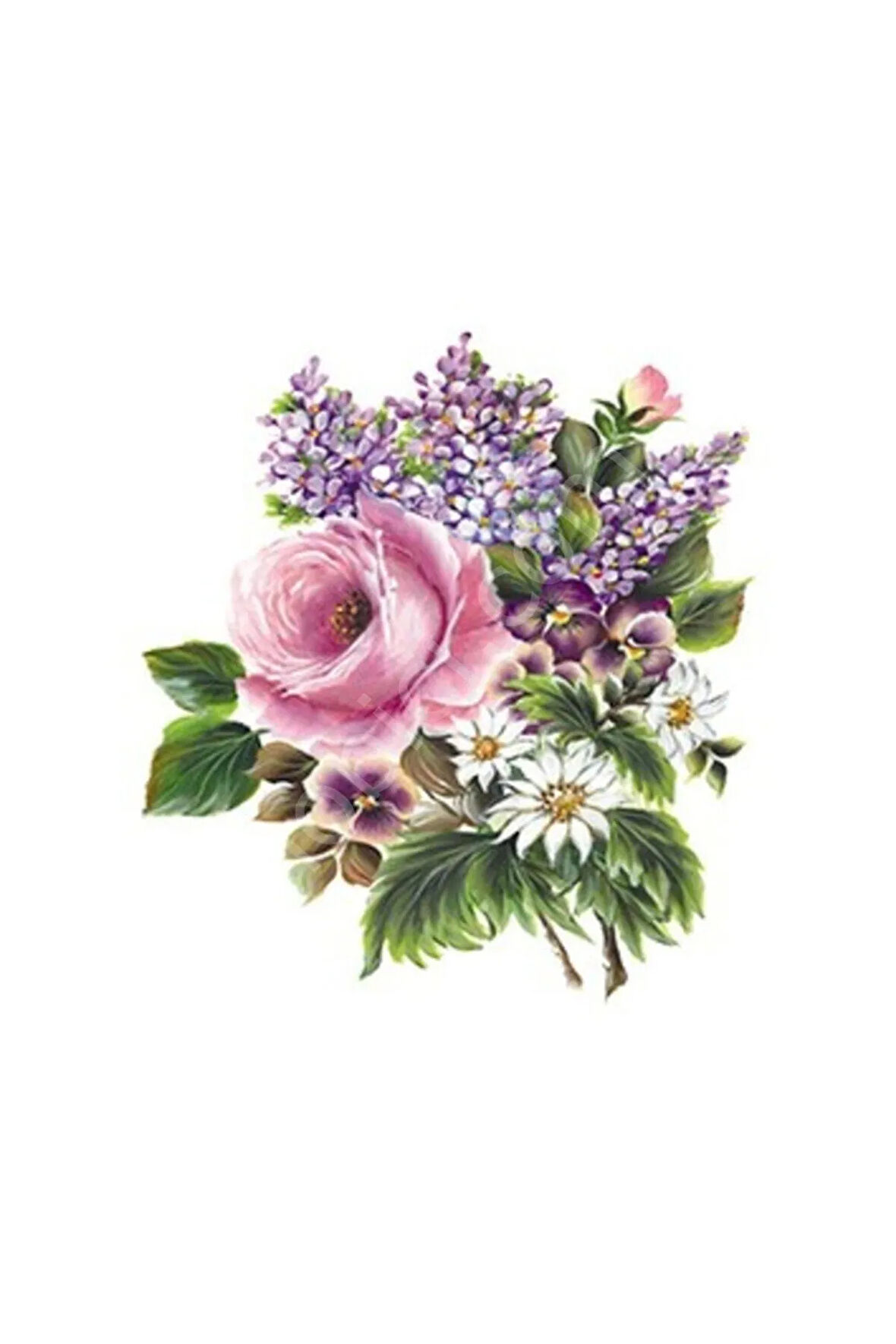 Xl03 35x50 Gülsün Ülkü